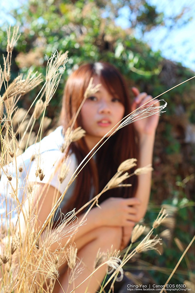http://i.dcview.tw/gallery/201304/f5eda2ec7a4402bddd4853a112e13b80.jpg