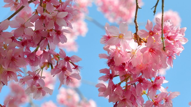 http://i.dcview.tw/gallery/201304/f7f8b053d2e3784fb6f4ae8f3baa75ef.jpg