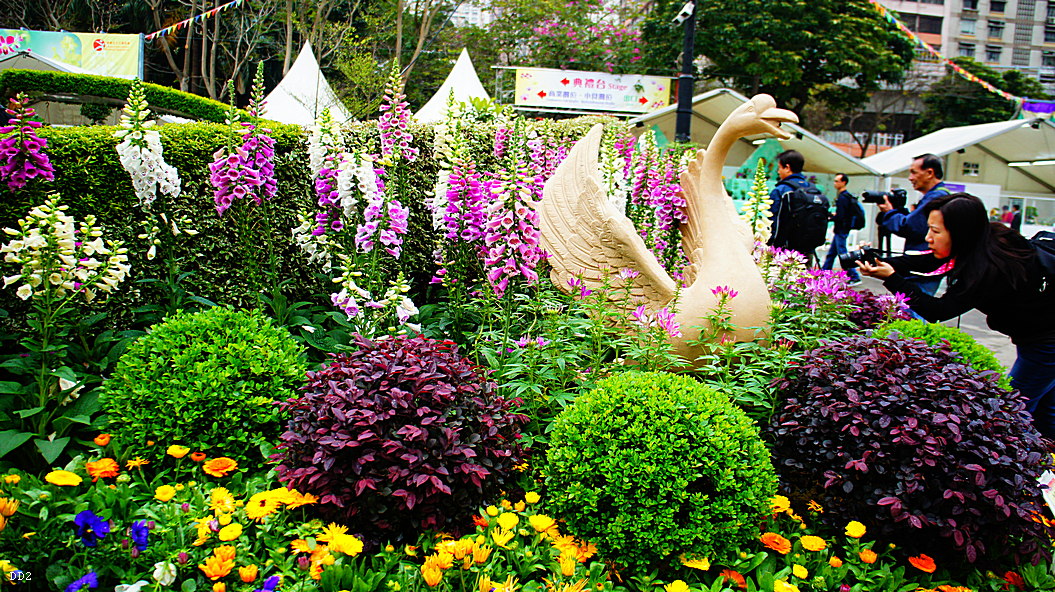 http://i.dcview.tw/gallery/201305/030ec68e4932267d500c508093caac67.jpg