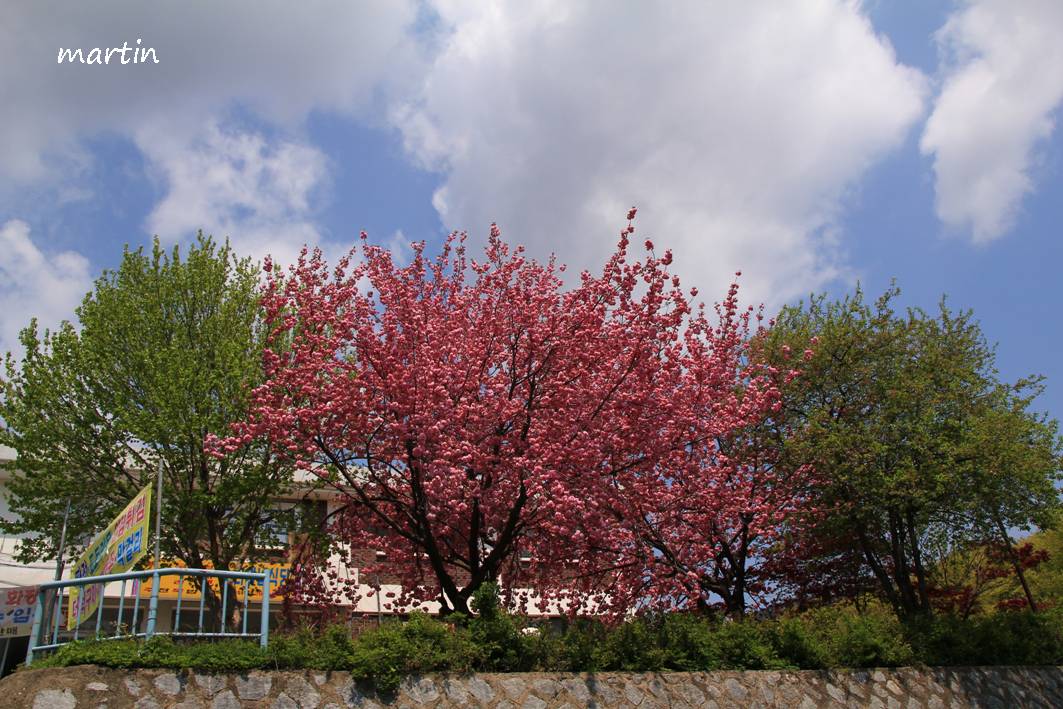 http://i.dcview.tw/gallery/201305/0335216c5f8db4b1796c7d3ee3824902.jpg