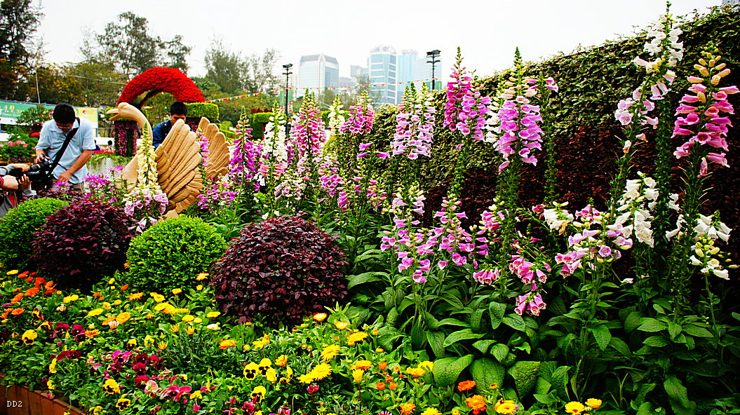 http://i.dcview.tw/gallery/201305/04e8c00f343317e6ef6971268a082fa3.jpg