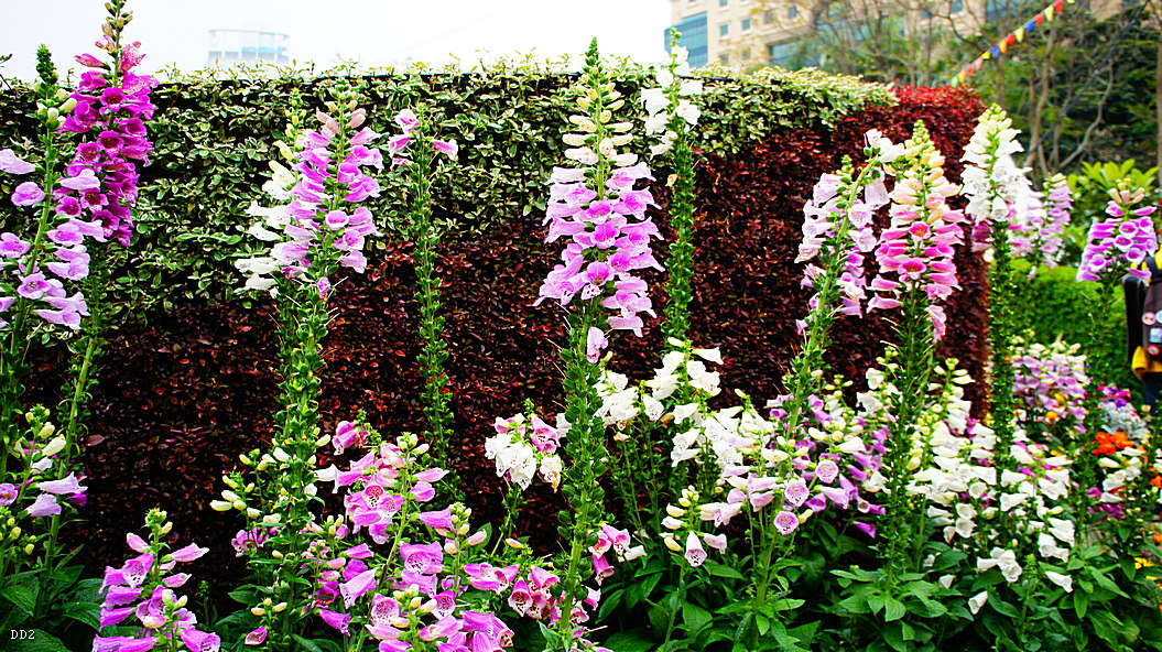 http://i.dcview.tw/gallery/201305/0980d57637041899ee74b1a2d2e08d82.jpg