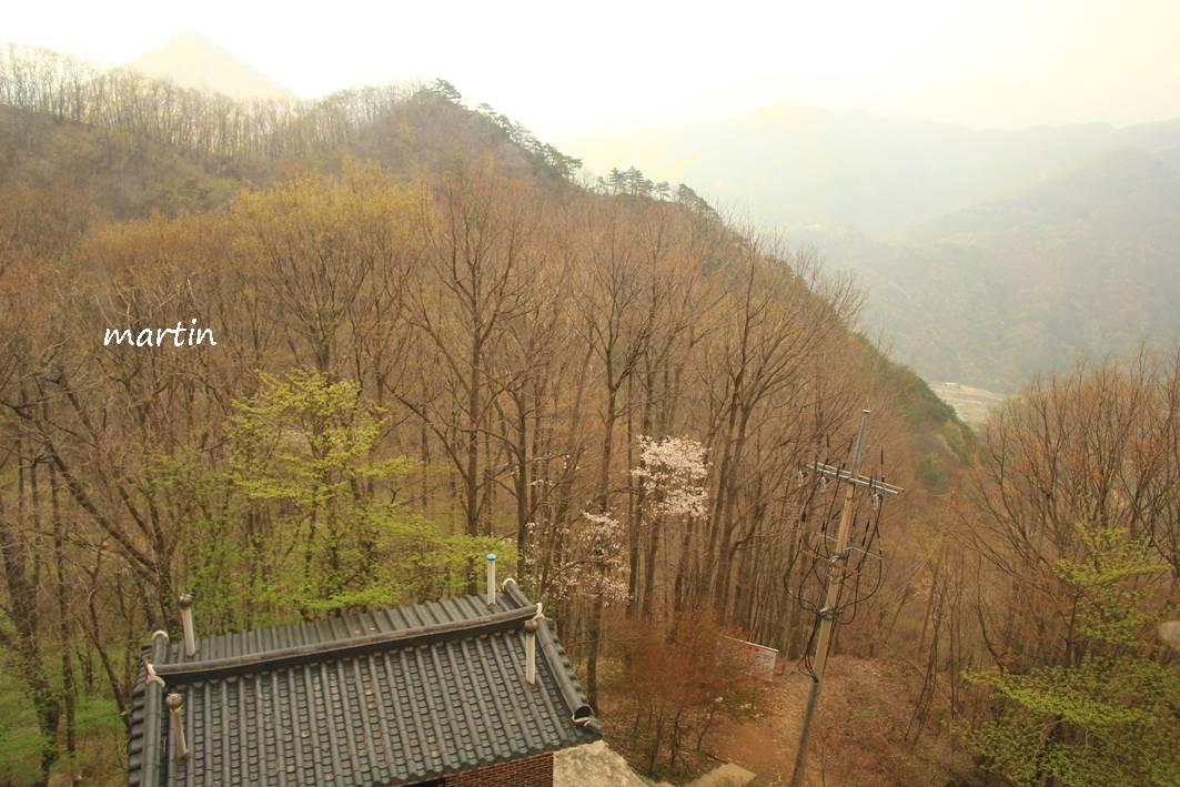 http://i.dcview.tw/gallery/201305/10b6598caf00f885b5c22d3d07450c18.jpg