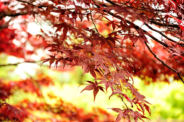http://i.dcview.tw/gallery/201305/266a4685ceb02d82053a02b214675ee3.jpg