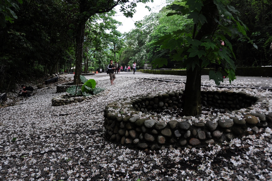 http://i.dcview.tw/gallery/201305/268b362bace8aaf615f863052e60b1cb.jpg