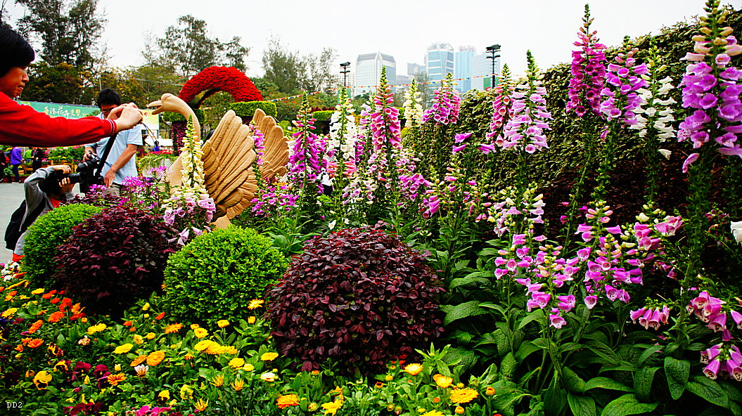 http://i.dcview.tw/gallery/201305/2a4abcdcaca088abb92f8552c839d5a1.jpg