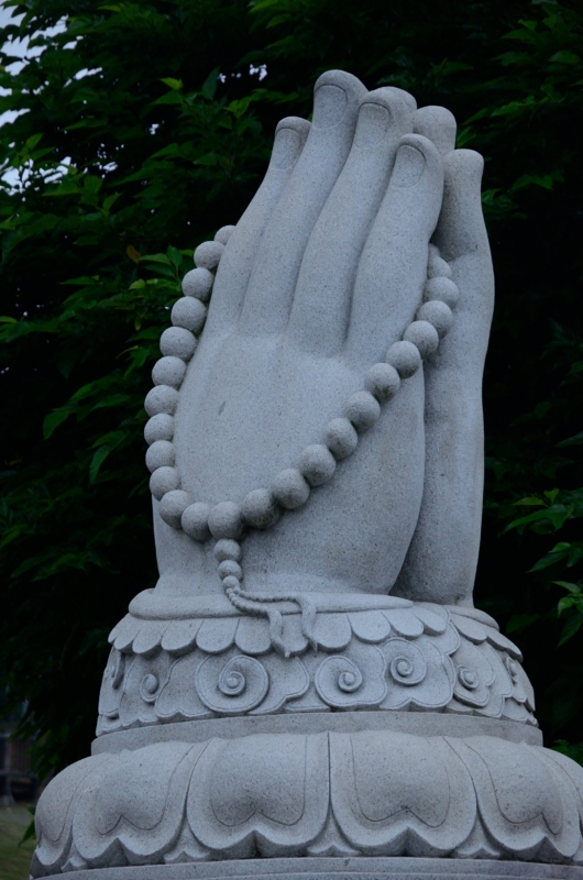 http://i.dcview.tw/gallery/201305/35d8619fb8800ef61f5e14ffe26c5a78.jpg