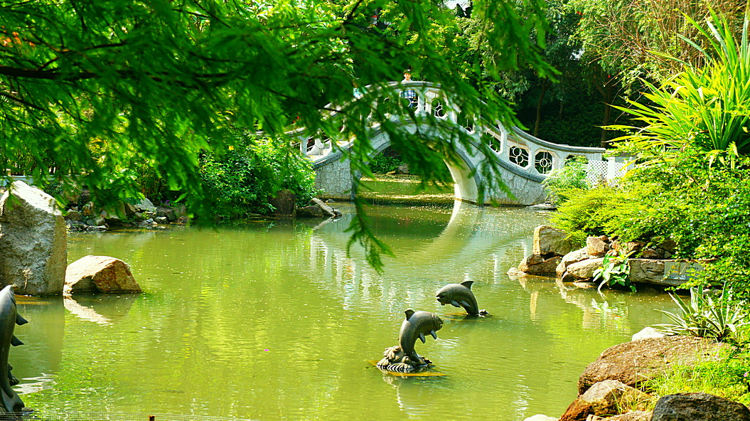 http://i.dcview.tw/gallery/201305/3d4e108f1effb58212677958a450b9a1.jpg
