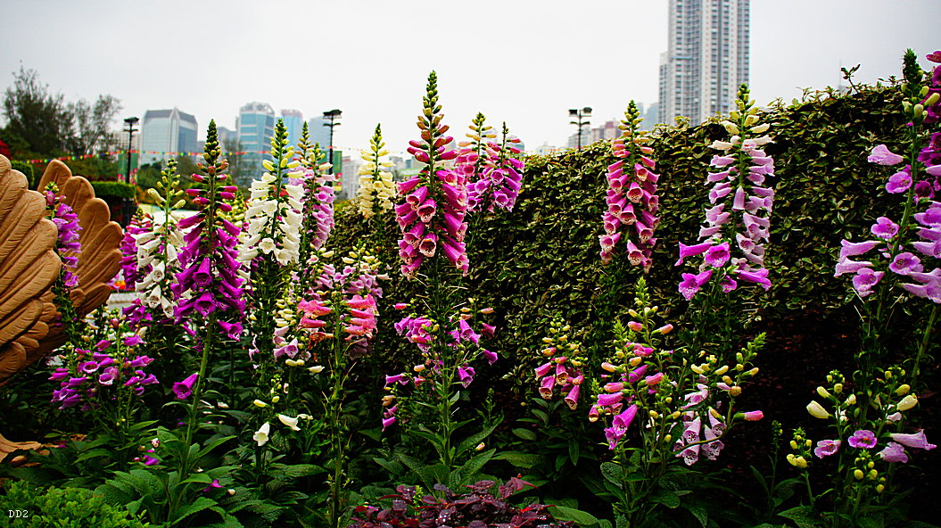 http://i.dcview.tw/gallery/201305/40782728d93f079869f3c329c94b2cf5.jpg