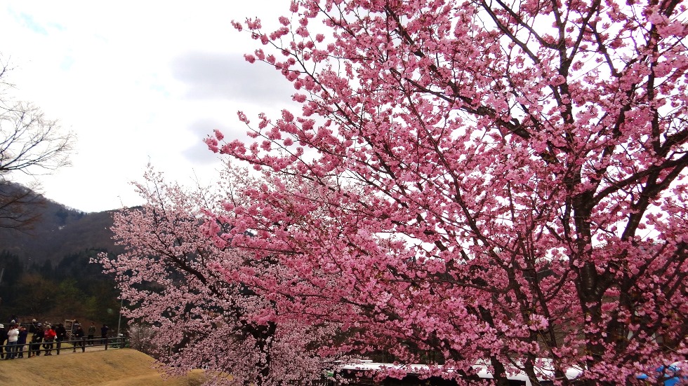 http://i.dcview.tw/gallery/201305/4b310fc0d45d2c4461a44ac1518bd246.jpg