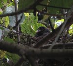 猜猜我是誰  （三）