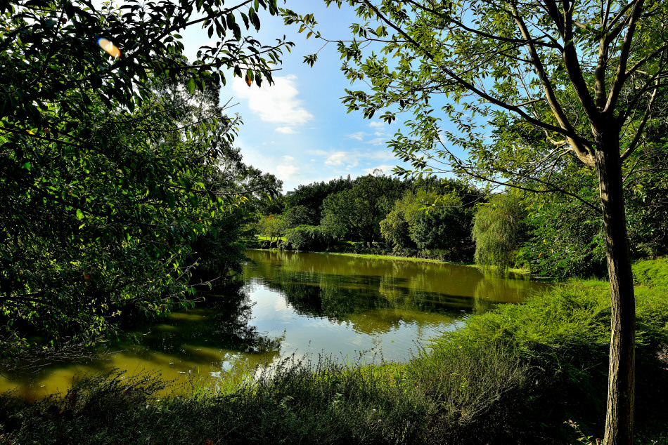 http://i.dcview.tw/gallery/201305/51fd27e9d4656d68d3db1607dee30289.jpg