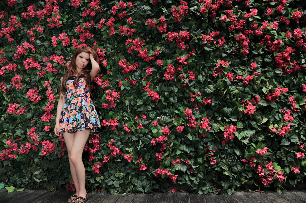 http://i.dcview.tw/gallery/201305/60c693c7a86b245ed1b625f845baa612.jpg