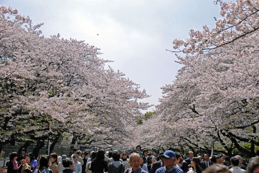 http://i.dcview.tw/gallery/201305/6d5988754834b218d603520d7b1db013.jpg