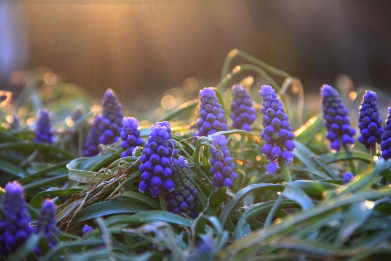 http://i.dcview.tw/gallery/201305/6df0e87cf96f948d69895f738d93e4be.jpg