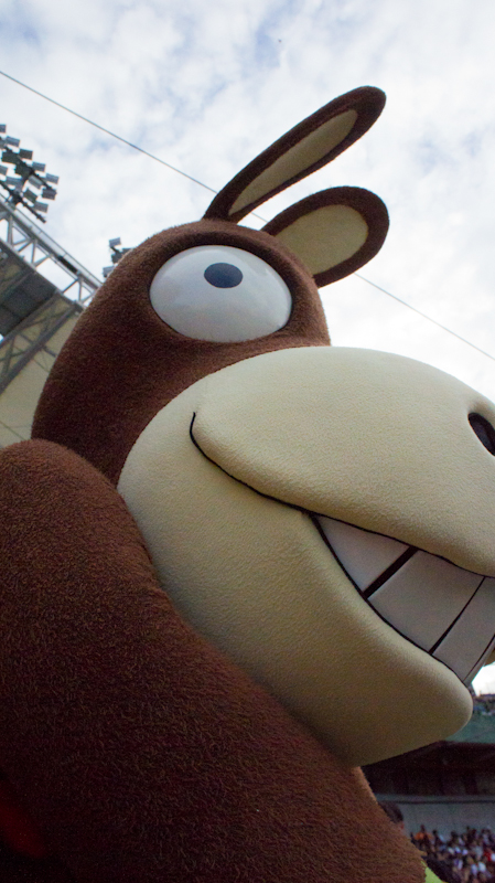 http://i.dcview.tw/gallery/201305/781c8ab3bfc858f7d1eaa21a9a3b60d7.jpg