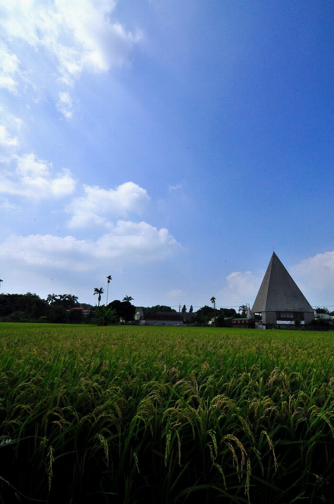 http://i.dcview.tw/gallery/201305/7ca2acafb801b7ed517caf0ad86ea958.jpg