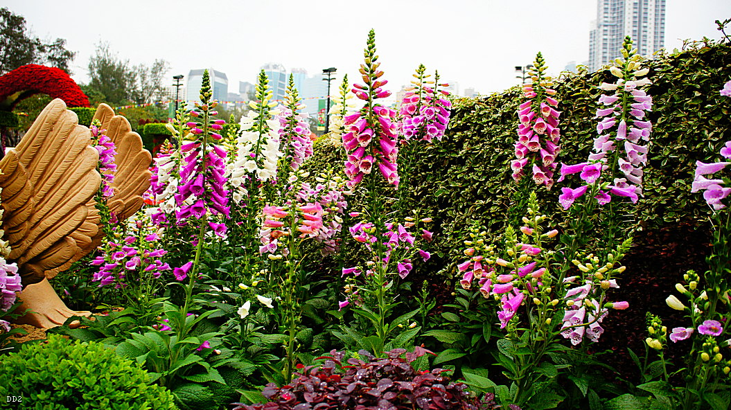 http://i.dcview.tw/gallery/201305/875ed2311d6b783eb36bf4156a041edd.jpg