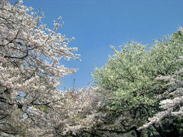http://i.dcview.tw/gallery/201305/92d42bcfff2f49925a99cdd32b21d581.jpg