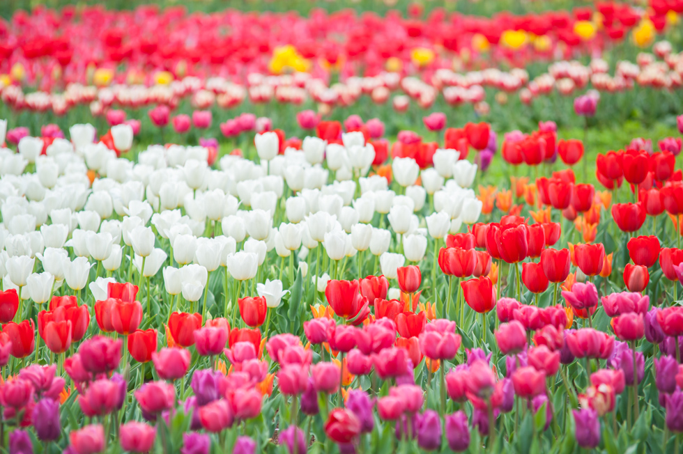 http://i.dcview.tw/gallery/201305/94999ee76e7dc74cf4feab6d61c207d6.jpg