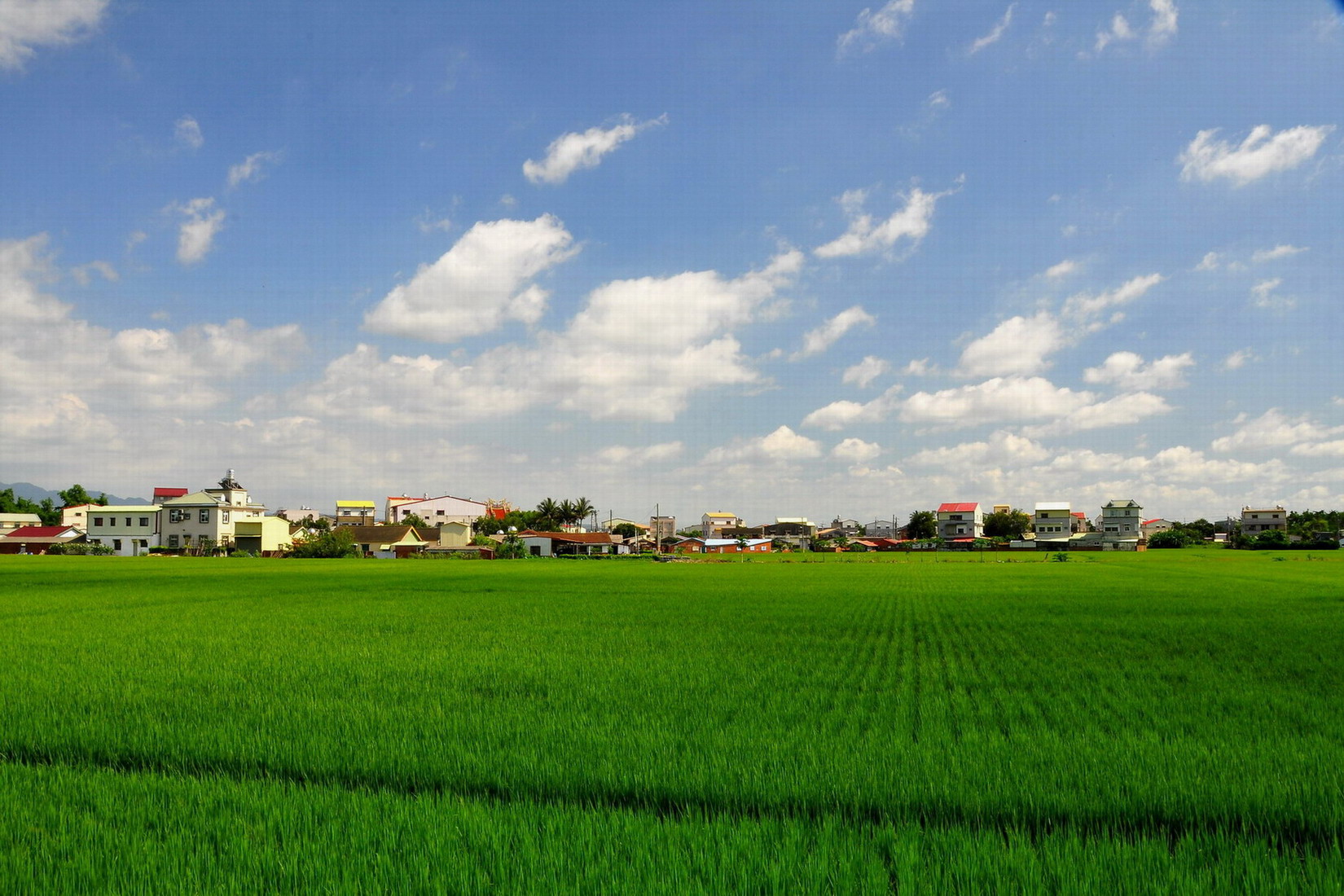 http://i.dcview.tw/gallery/201305/9aebf56b403ea51b1af905b503e4cc9e.jpg