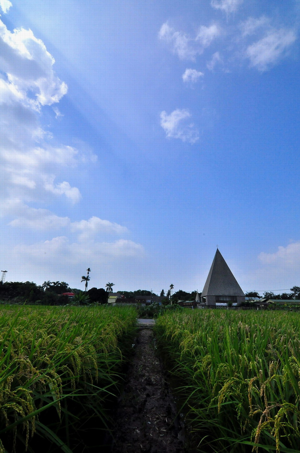http://i.dcview.tw/gallery/201305/a08154c5a5b715b765d9f39560ee04a9.jpg