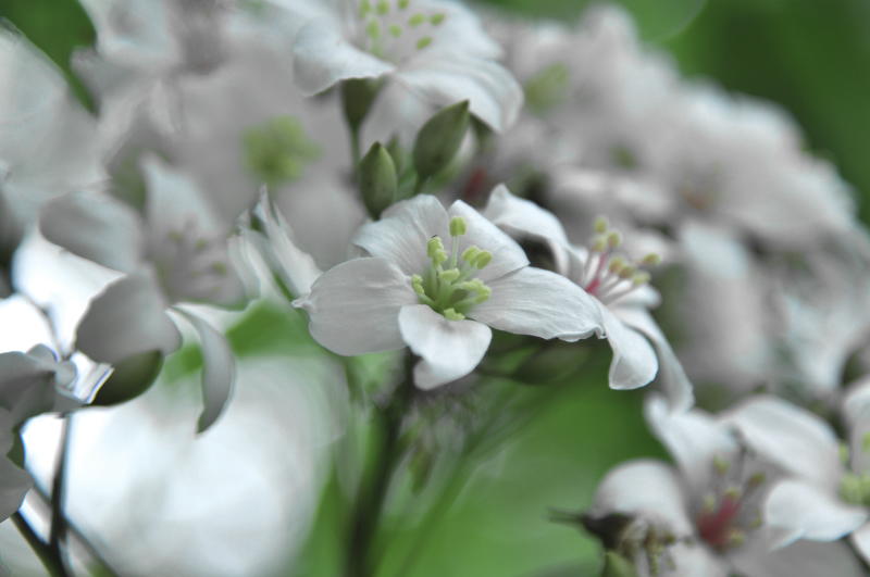 http://i.dcview.tw/gallery/201305/a8d3ad1efec831981862a1d52960fc46.jpg