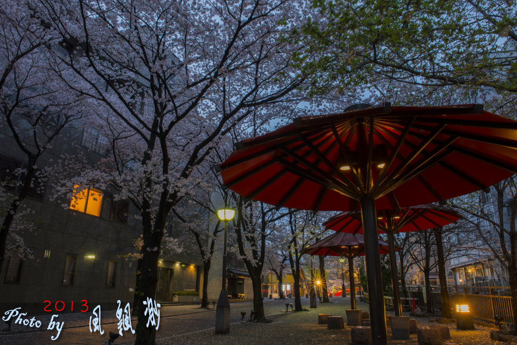 http://i.dcview.tw/gallery/201305/acc21a2f329d347a42d949b97aaf2718.jpg