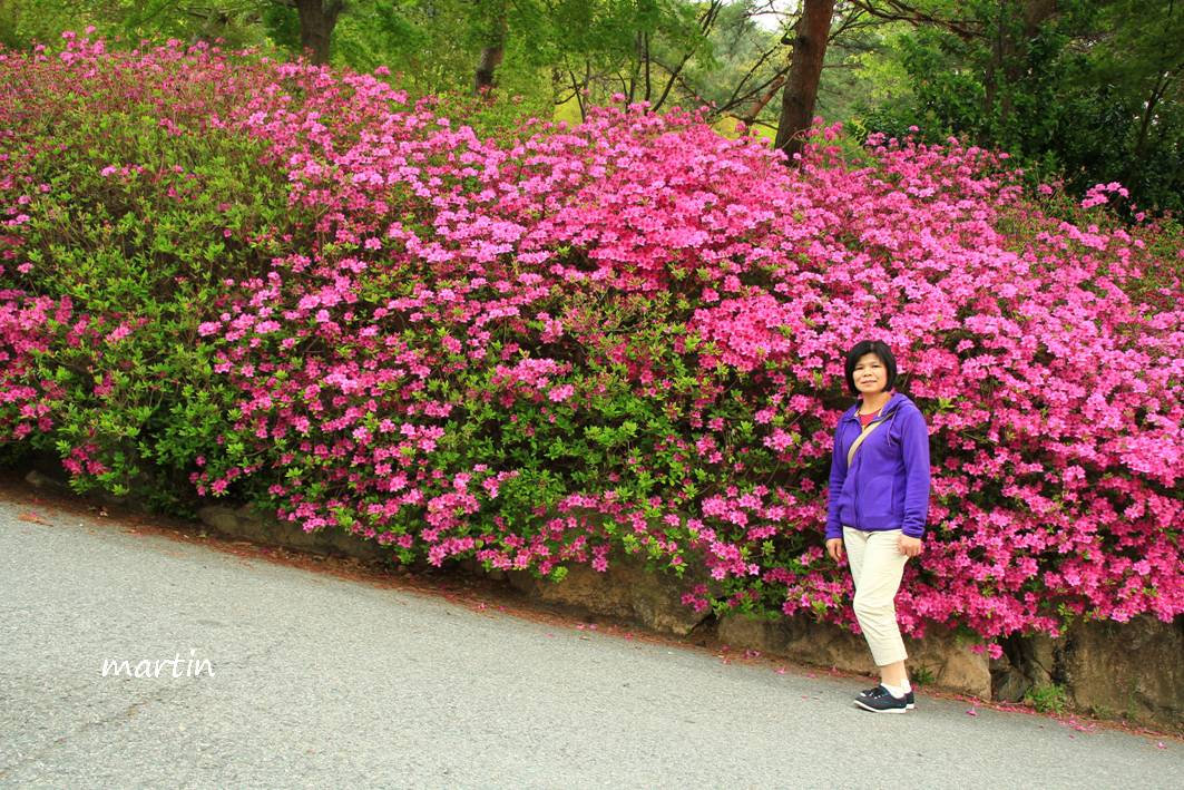 http://i.dcview.tw/gallery/201305/ae4d30499256980b466d9577a395fbdd.jpg