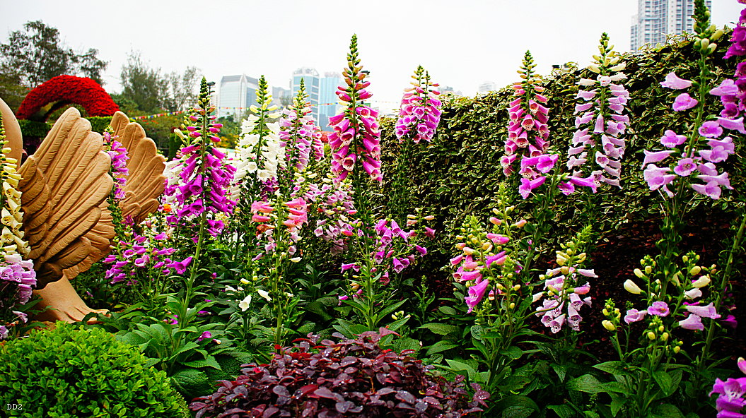 http://i.dcview.tw/gallery/201305/b4fc3ddce77948f3cb9f01e118424adf.jpg