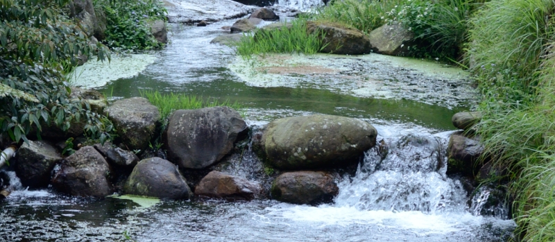 http://i.dcview.tw/gallery/201305/ce0d520a77628bfe271593f936f511f8.jpg