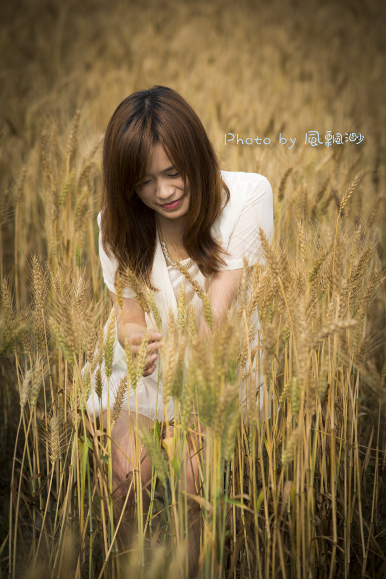 http://i.dcview.tw/gallery/201305/ce12d30333b87136b27aa584c4ea1756.jpg