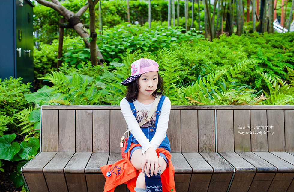 http://i.dcview.tw/gallery/201305/df667f3b6642d48f9279a9f641dce66a.jpg