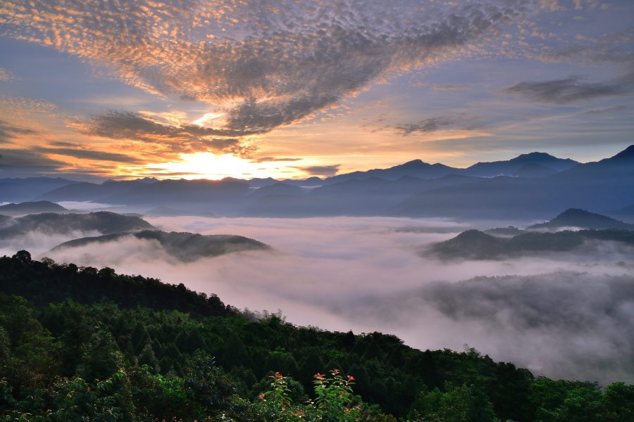 http://i.dcview.tw/gallery/201305/e2938c10d5549dd15b988d54fec28e97.jpg