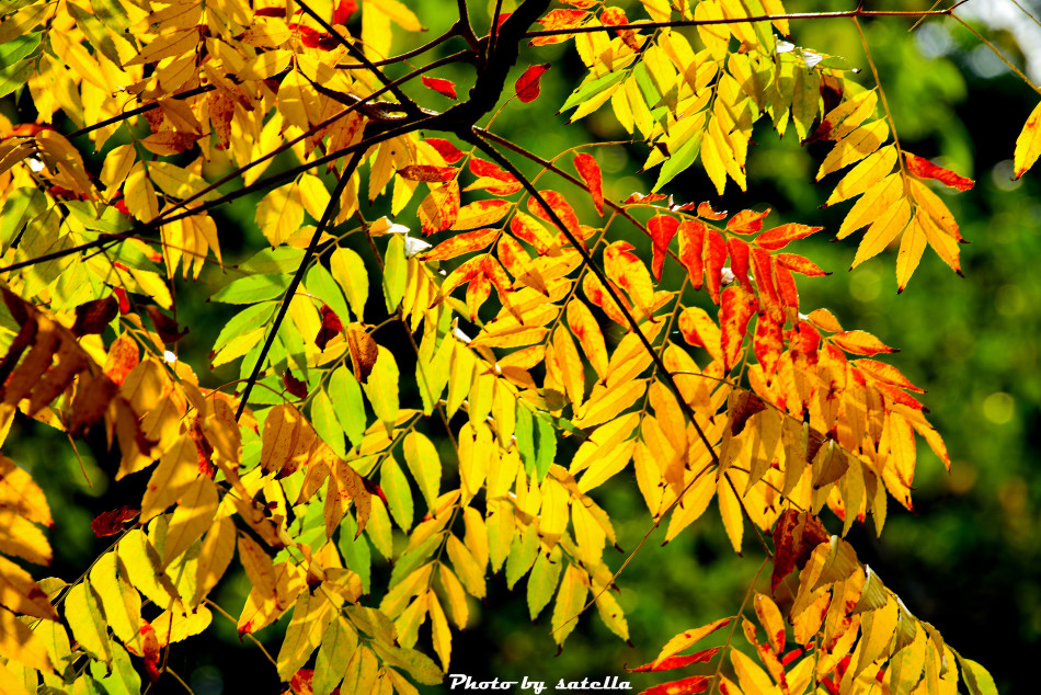 http://i.dcview.tw/gallery/201305/eec3ded724935c650c3738f79a58be65.jpg