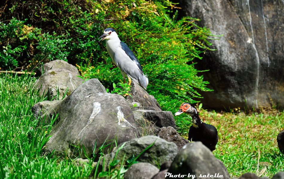 http://i.dcview.tw/gallery/201306/05e4c0ec4c8aaa941f27a4dad93a47fd.jpg