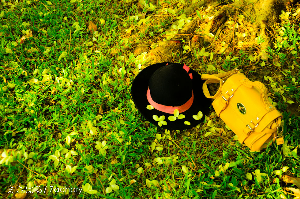 http://i.dcview.tw/gallery/201306/0683781711fb3f70a5fe4b820fa02ab2.jpg