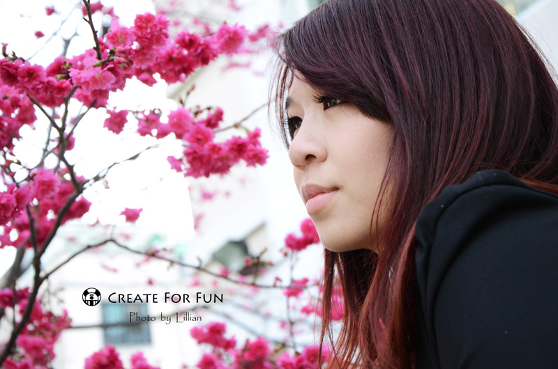 http://i.dcview.tw/gallery/201306/1af5c49e6c8e49d244a654b4df04e985.jpg