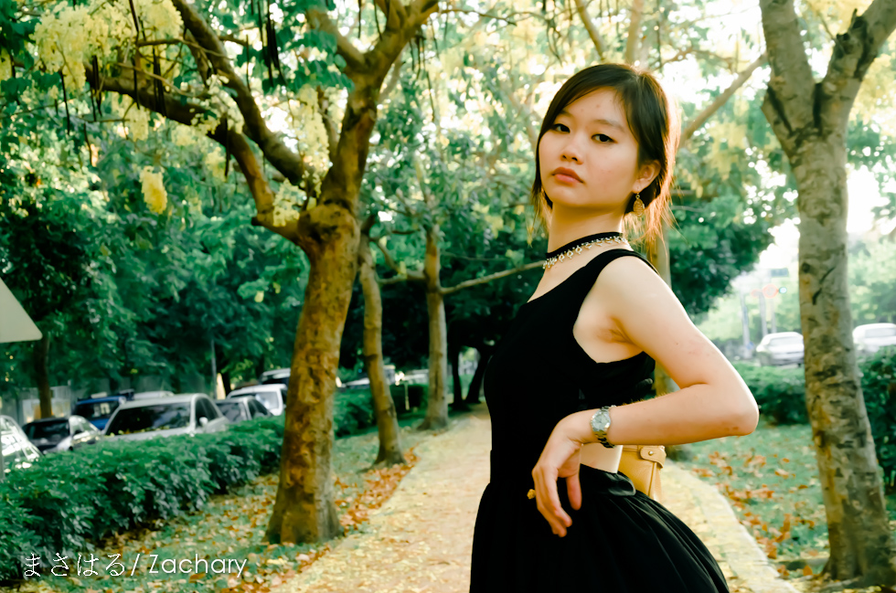 http://i.dcview.tw/gallery/201306/21eead6bd64e5a780f89c29876b560be.jpg