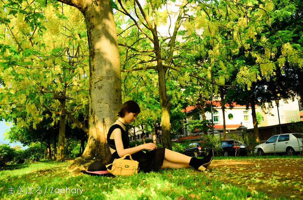 http://i.dcview.tw/gallery/201306/271f36818fe85ebacc484f6503186b64.jpg