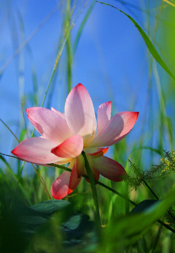 http://i.dcview.tw/gallery/201306/321138eeecc3282265a02a31b3310dce.jpg