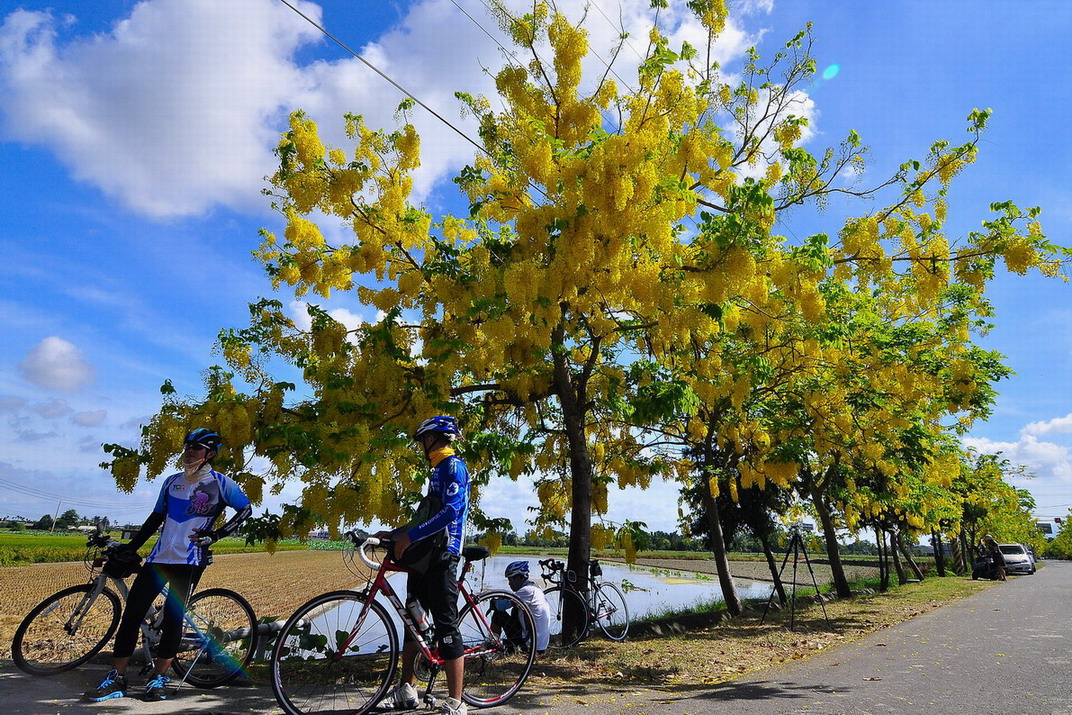 http://i.dcview.tw/gallery/201306/3837fc9a0510220cf19e569ec7f48ebc.jpg