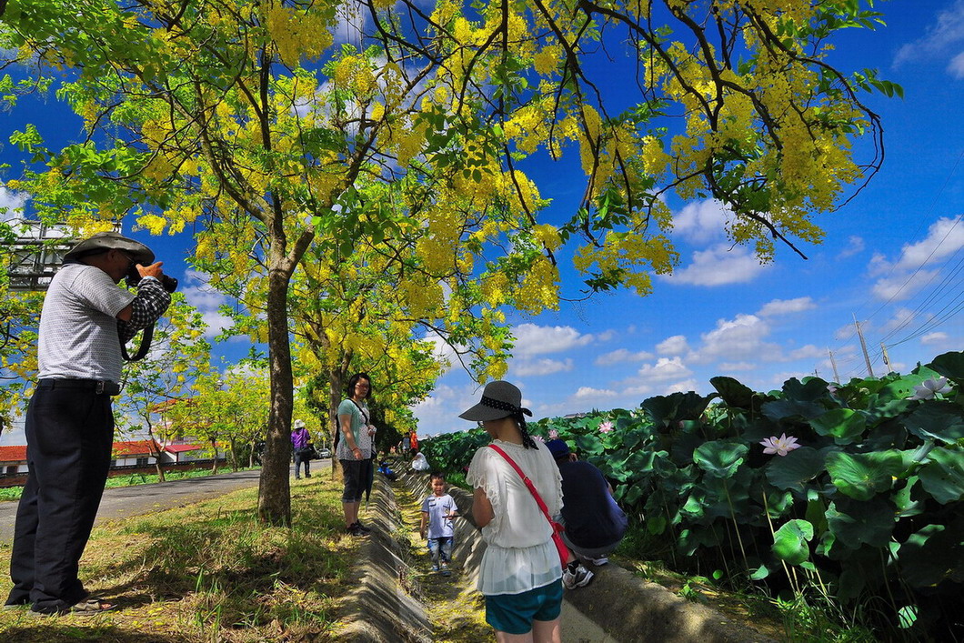 http://i.dcview.tw/gallery/201306/412e332865b2cf2443ff4ed0115be2d9.jpg