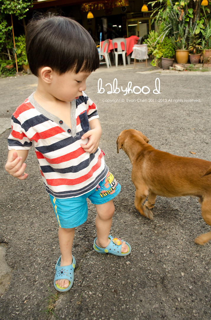 http://i.dcview.tw/gallery/201306/5462611a175643807eae112c72e7e611.jpg