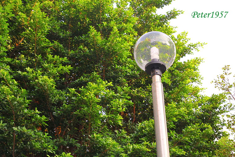 http://i.dcview.tw/gallery/201306/656ed681e3bf7c990615cbb7676598f1.jpg