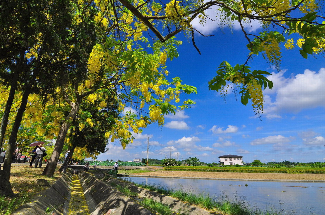 http://i.dcview.tw/gallery/201306/6817c654d5ff8ae5db02dfa99d6eadfe.jpg