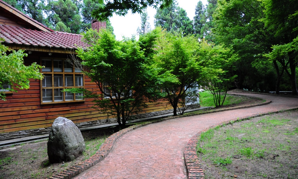 http://i.dcview.tw/gallery/201306/876700ff6860f0e8243efd3220a75f5f.jpg