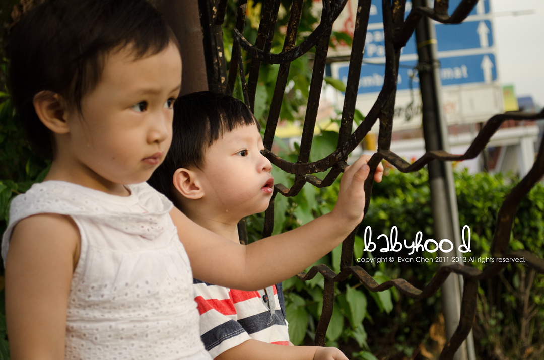 http://i.dcview.tw/gallery/201306/9bab80a0f51aab376c7c762c50a42635.jpg