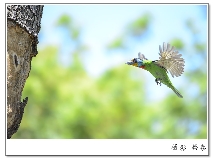 http://i.dcview.tw/gallery/201306/a974831baf94897796a01a0d1b80836e.jpg