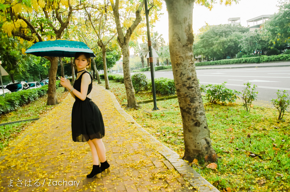http://i.dcview.tw/gallery/201306/aa9081ebb3dfddd55d8770c3dad587c3.jpg